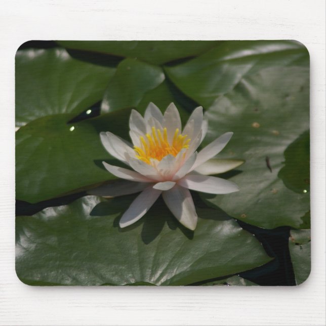 Mousepad Bloco de Mão-de-Água Branco (Frente)