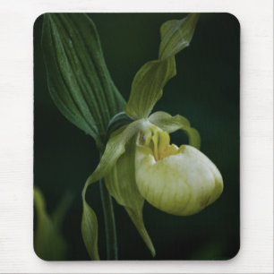 Mousepad Bloco de Mouse de Slipper Amarelo