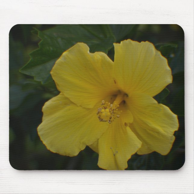 Mousepad Bloco de Mouse Flor Amarelo Dentro (Frente)