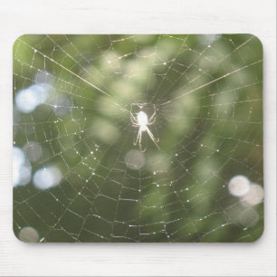 Mousepad Bloco de Mouses de Aranha