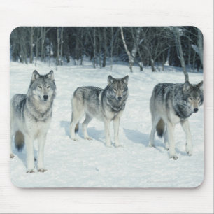 Mousepad Bloco dos lobos na borda da floresta nevado