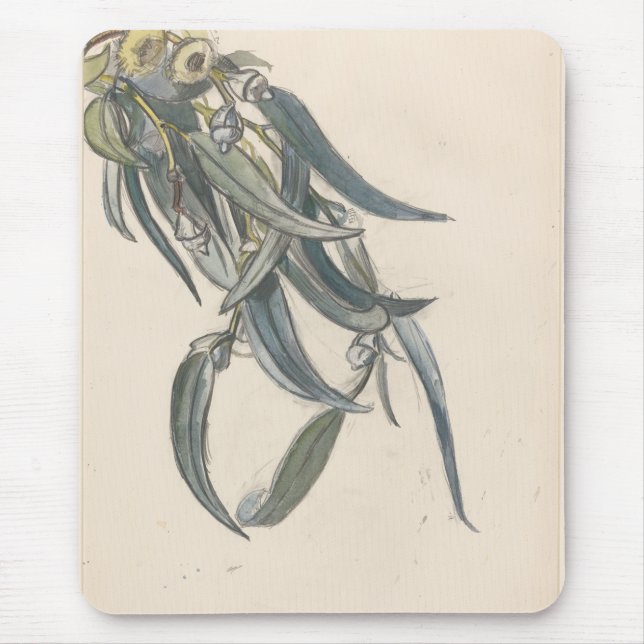 Mousepad Bloeiende tak van een eucalyptus (Frente)