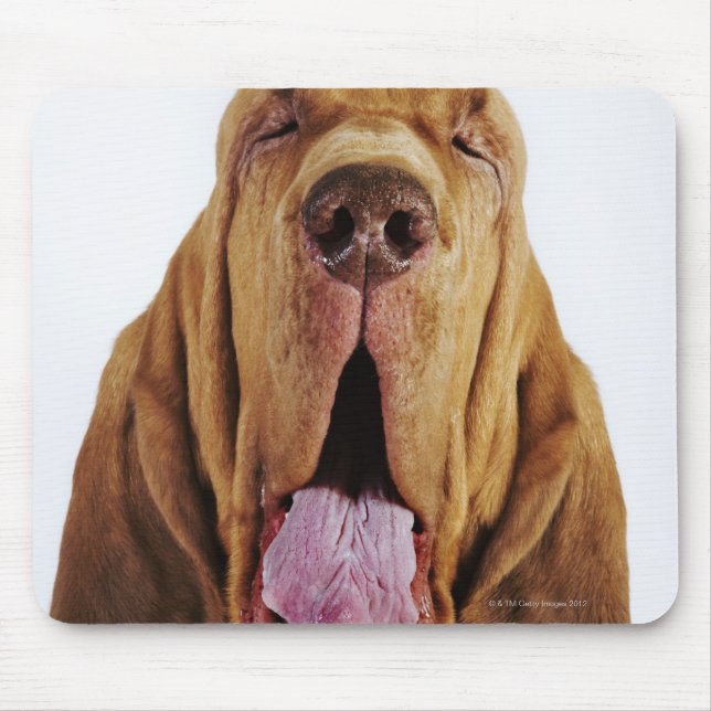 Mousepad Bloodhound (Rua Hubert Hound) com olhos fechados, (Frente)