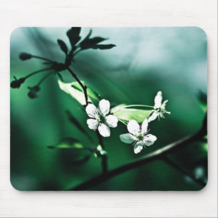 Mousepad Blossomas de Cereja Branca