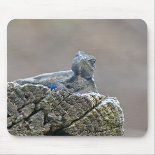 Mousepad Blue Belly Alligator Lizard