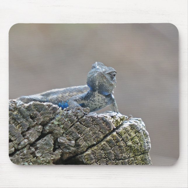 Mousepad Blue Belly Alligator Lizard (Frente)