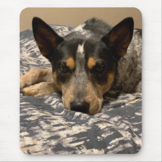 Mousepad Blue Heeler