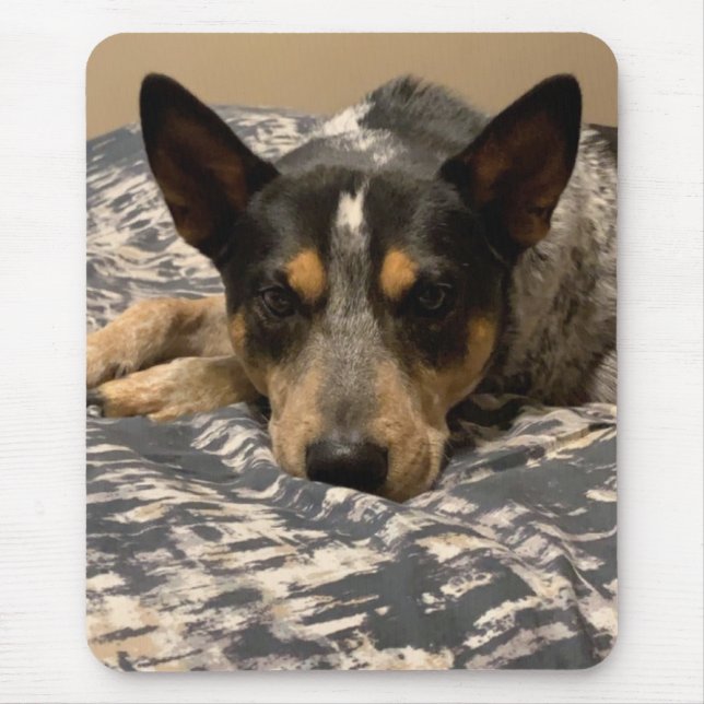Mousepad Blue Heeler (Frente)