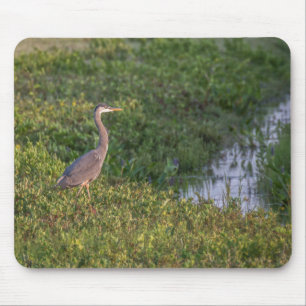 Mousepad Blue Heron