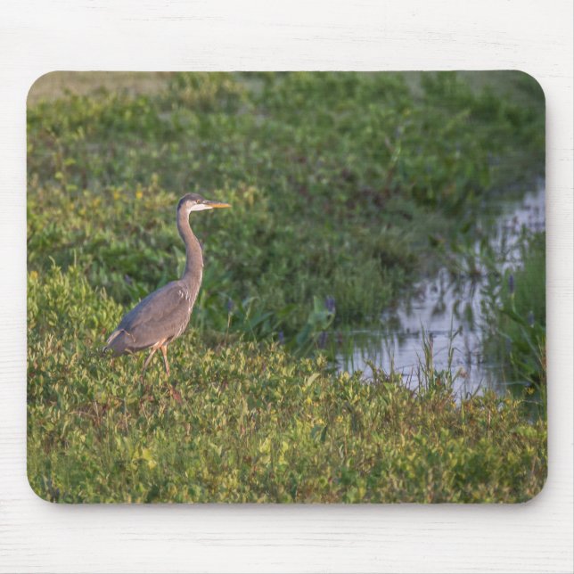 Mousepad Blue Heron (Frente)