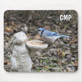 Mousepad Blue Jay no alimentador de aves cotas