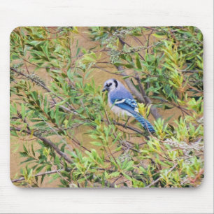 Mousepad Blue Jay sobre Myrtle da Cera do Sul