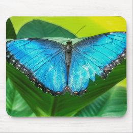 Mousepad Blue Morpho Butterfly Arte Floral