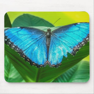 Mousepad Blue Morpho Butterfly Arte Floral