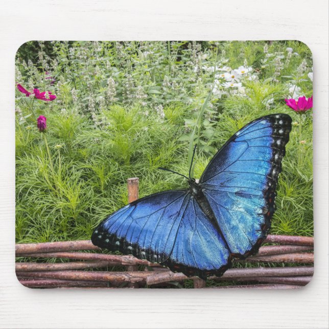 Mousepad Blue Morpho Butterfly Design (Frente)