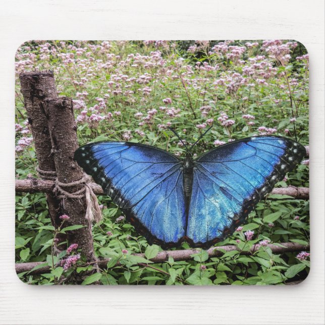 Mousepad Blue Morpho Butterfly Design (Frente)