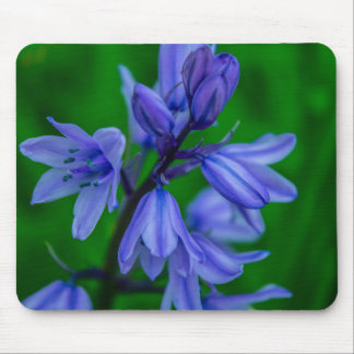 Mousepad Bluebells Mousemat