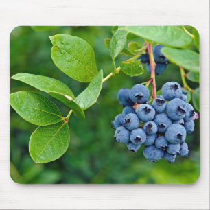 Mousepad Blueberry Bush