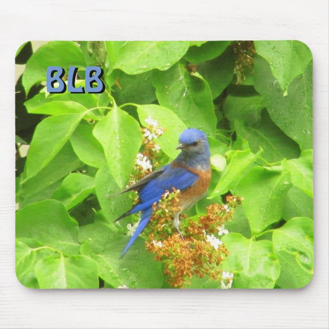 Mousepad Bluebird no Lilac Hedge suas iniciais (Frente)