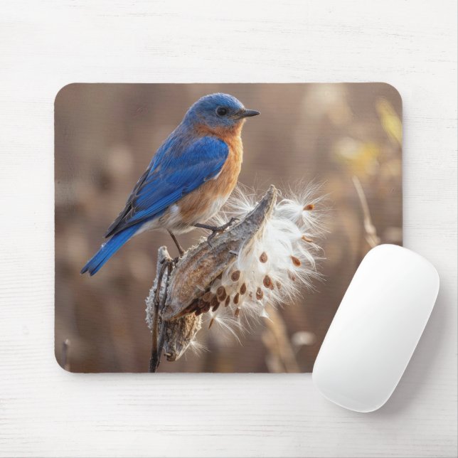 Mousepad Bluebird on a Milkweed Pod (Com mouse)
