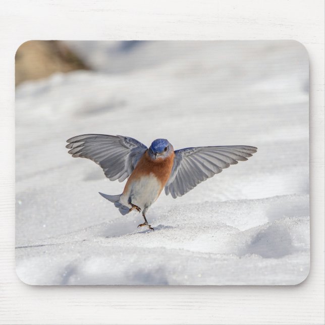 Mousepad Bluebird oriental dançando na neve (Frente)