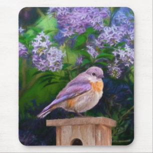 Mousepad Bluebird oriental na neve - Foto original