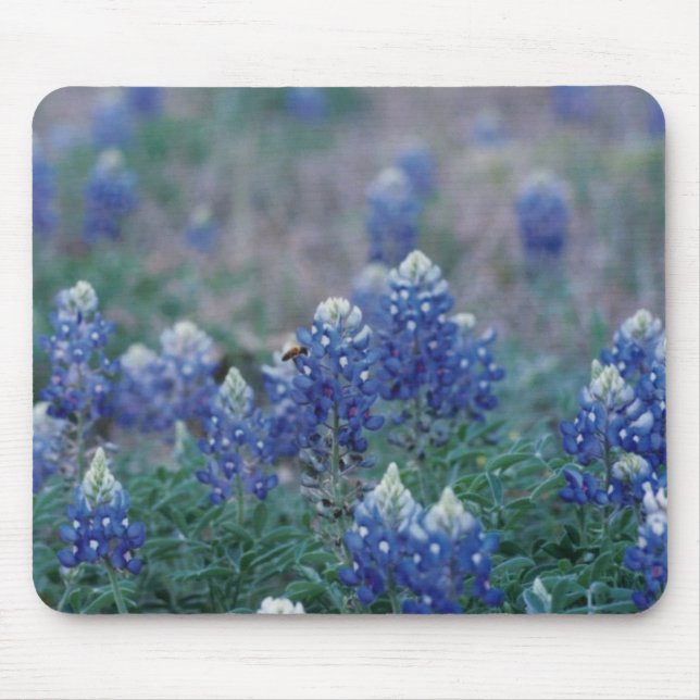 Mousepad Bluebonnets (Frente)