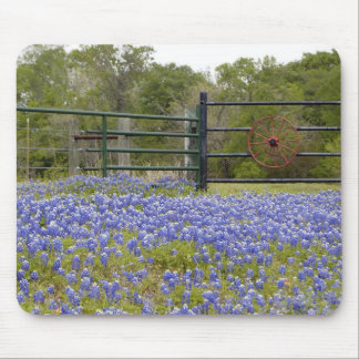 Mousepad Bluebonnets de Texas