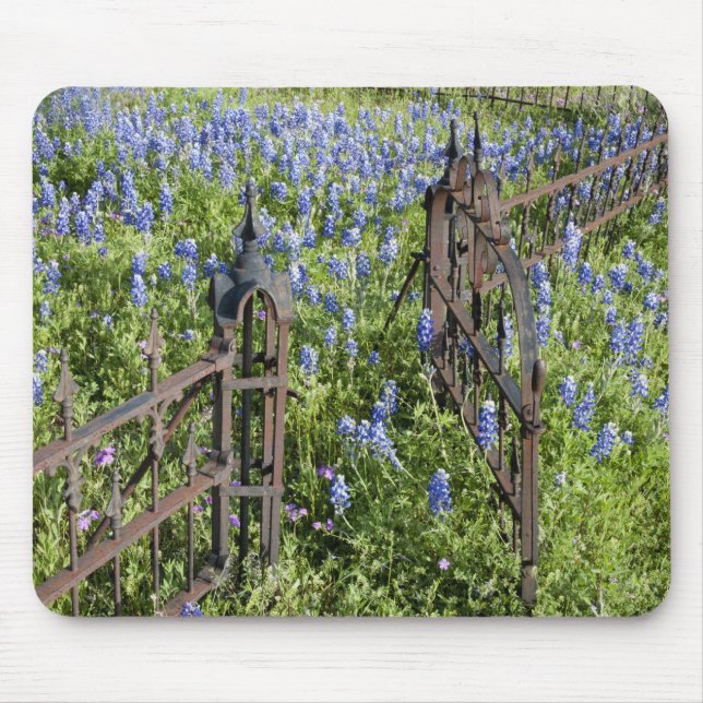 Mousepad Bluebonnets e phlox que circundam o cemitério (Frente)