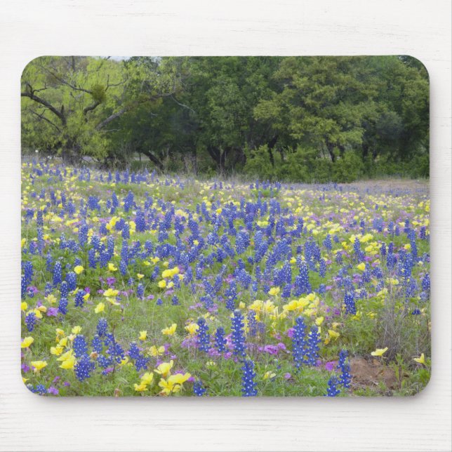 Mousepad Bluebonnets, primrose e flox (Frente)