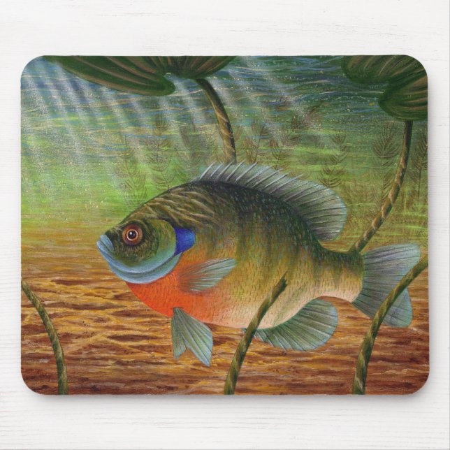 Mousepad Bluegill (Frente)