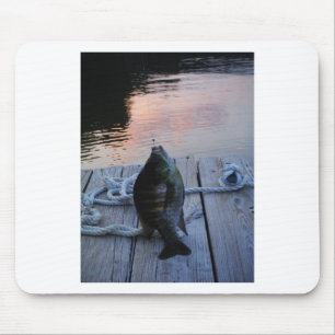 Mousepad Bluegill no lago de Arrohouad ao pôr do sol