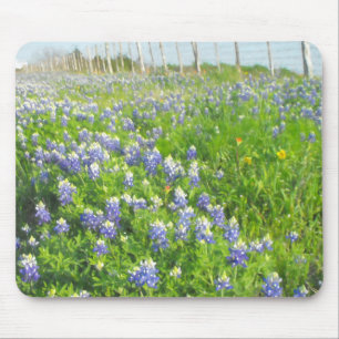 Mousepad Bluetooth na estrada