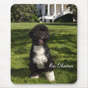 Mousepad Bo Obama