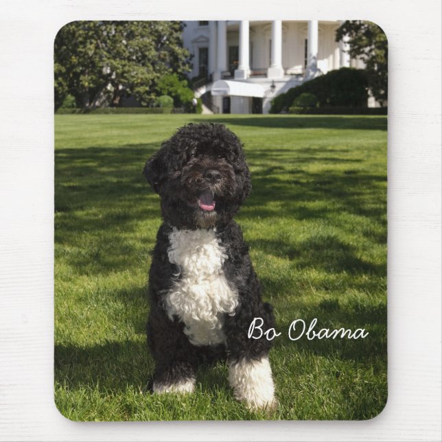 Mousepad Bo Obama (Frente)