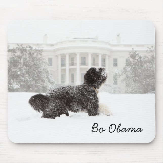 Mousepad Bo Obama (Frente)