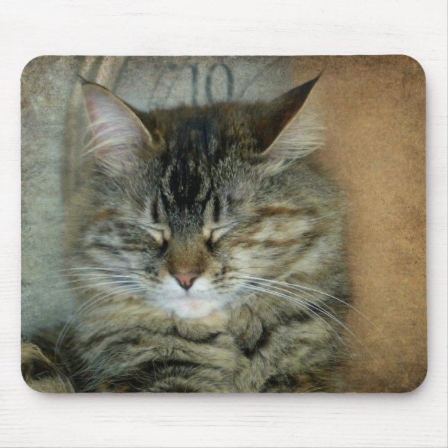 Mousepad Bob o Gato (Frente)