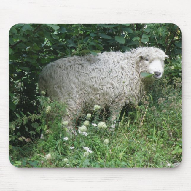 Mousepad Boca-Boca Bastante Branca, Polpa-Vidro (Frente)