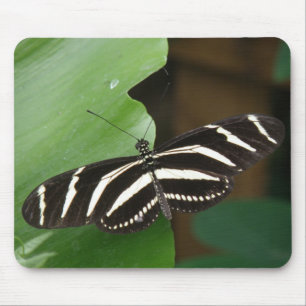 Mousepad Boca-Borboleta bonito Zebra Longwing