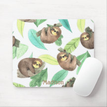 Boca-branca num galho Bananas Nome Animal