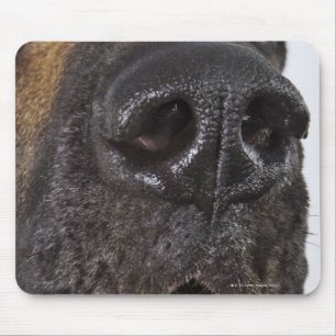 Mousepad Boca de great dane, fim-acima