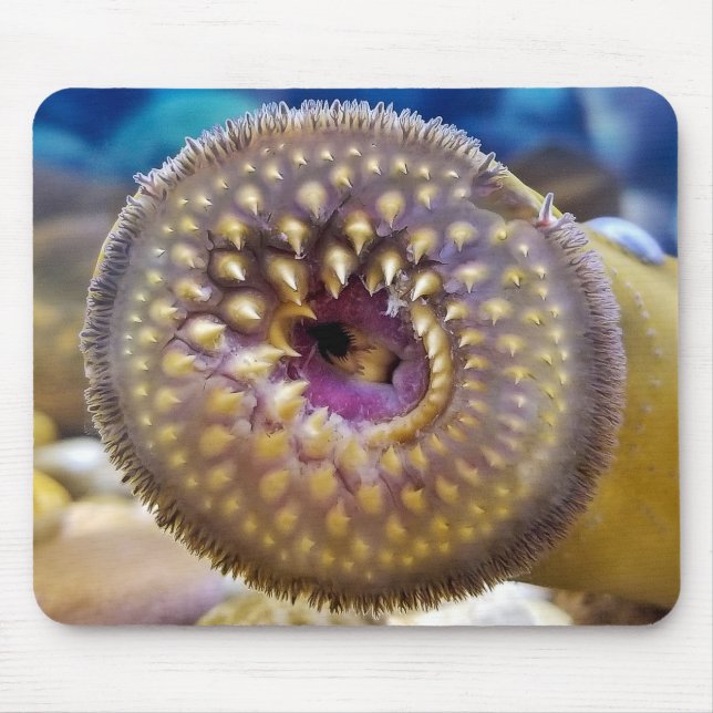 Mousepad Boca de Lamprey (Frente)