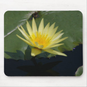 Mousepad Boca-do-rio Amarelo