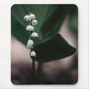 Mousepad Boca Doce