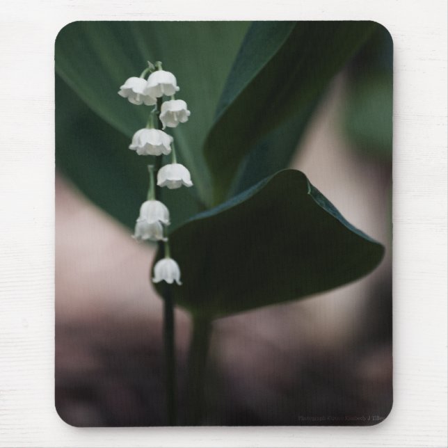 Mousepad Boca Doce (Frente)