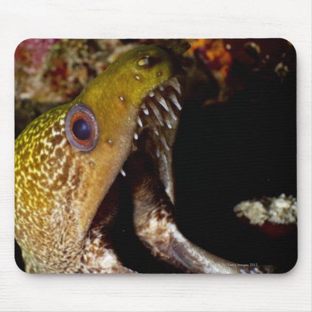 Mousepad Boca intimidante de Yellowmargin (Frente)