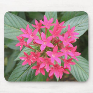 Mousepad Boca-Mão-de-Mão-de-Flores Tropicais Brilhante
