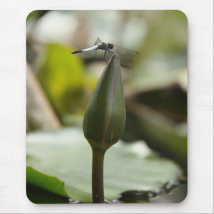 Mousepad Bocal