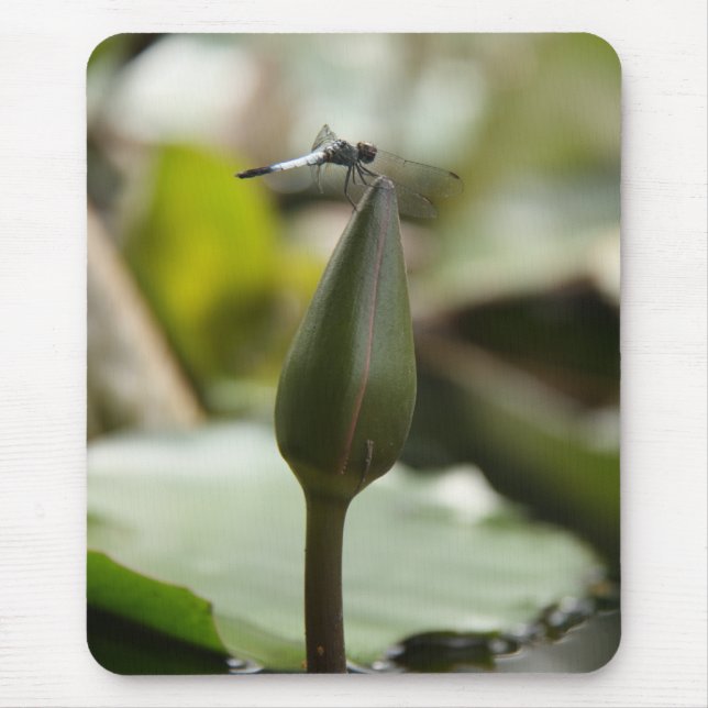 Mousepad Bocal (Frente)