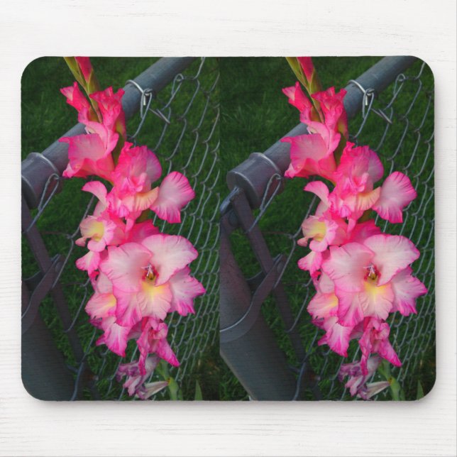 Mousepad Bocal da Flor Gladiola Rosa (Frente)